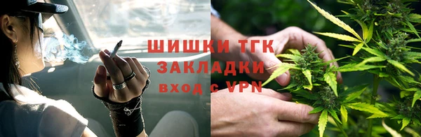 индика Аркадак