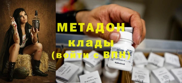 индика Аркадак