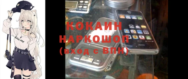 индика Аркадак
