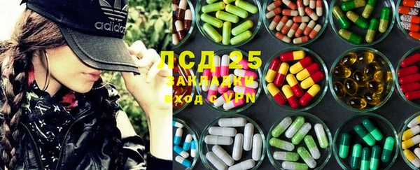 индика Аркадак