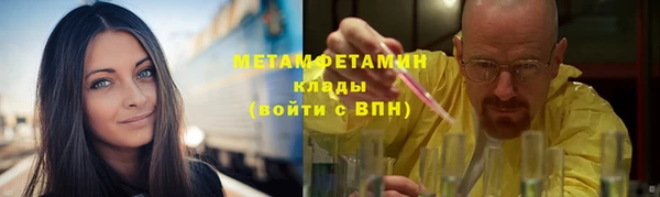 индика Аркадак