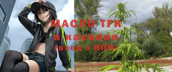 индика Аркадак