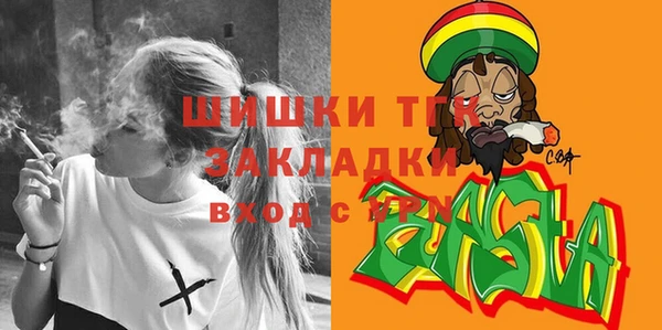 индика Аркадак