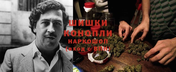 экстази Арсеньев