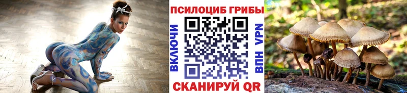 Купить где  Уварово  Псилоцибиновые грибы мицелий 